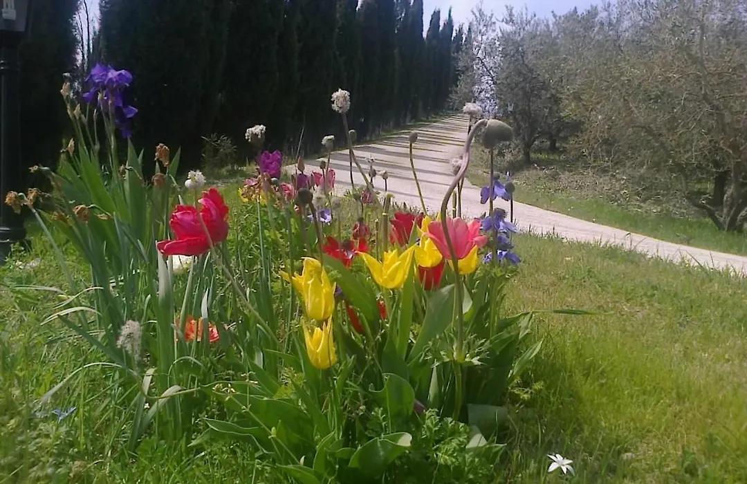 Residence Ai Campi Da Golf Saturnia-1